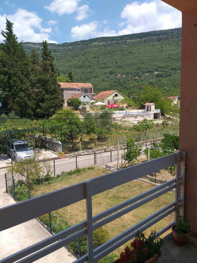 Apartment Davidovic Tivat Zewnętrze zdjęcie
