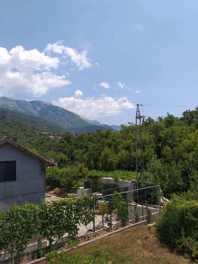 Apartment Davidovic Tivat Zewnętrze zdjęcie
