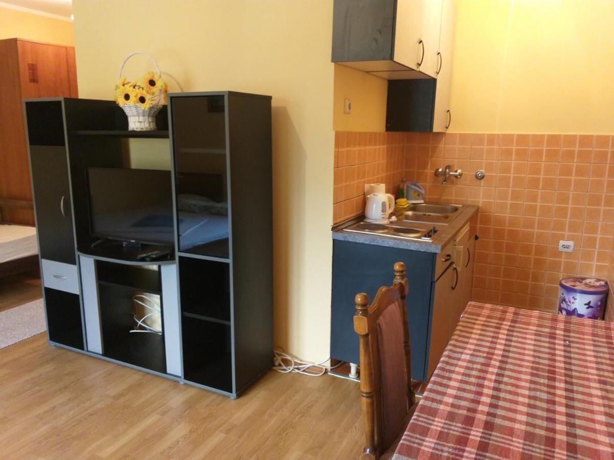 Apartment Davidovic Tivat Zewnętrze zdjęcie